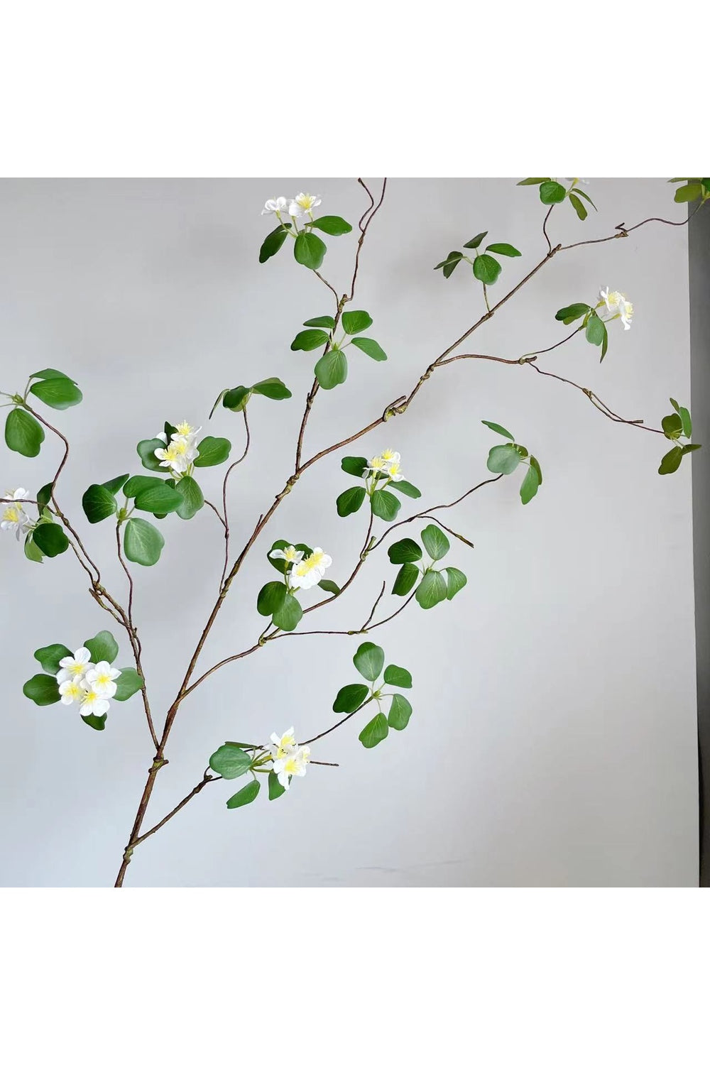 Style Green Leaf Ivy | Bowlift