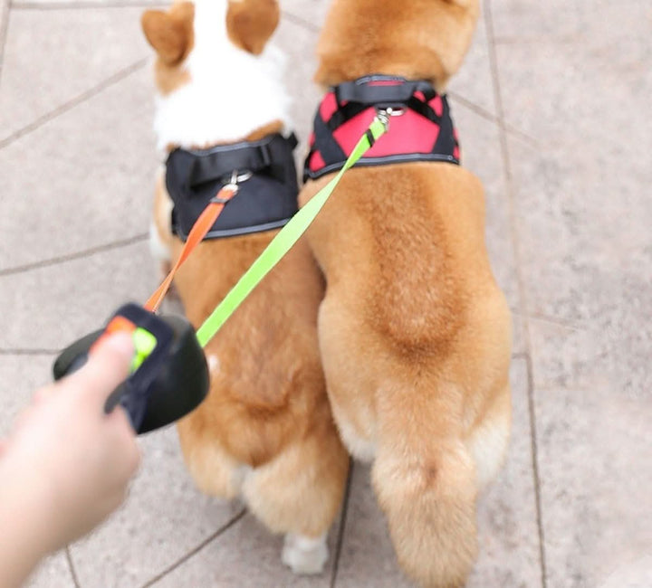 BowLift | PROPET DUO – Retractable leash for two dogs with LED light for safe walks