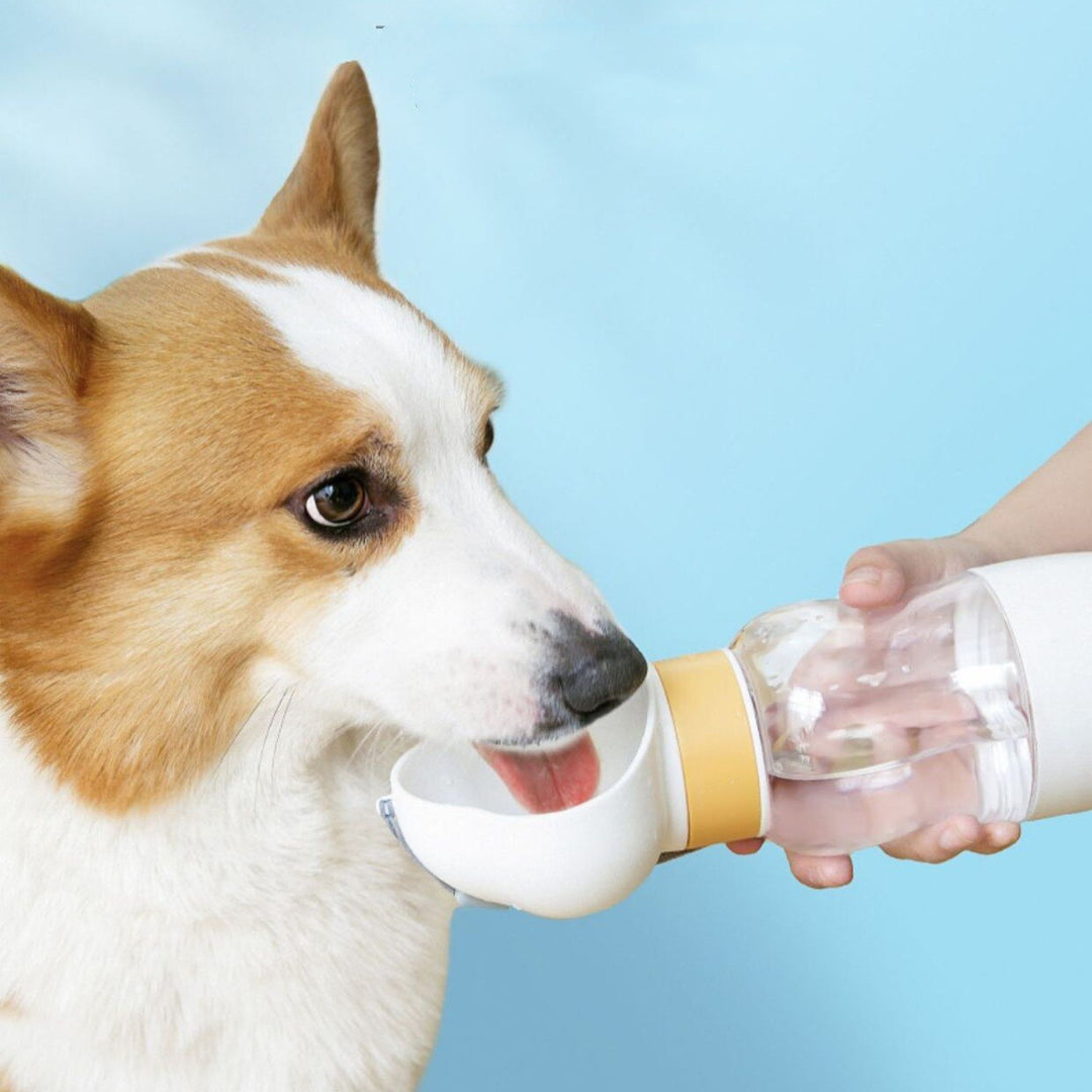 2in1 Smart Pet Portable Water Bottle Feeder | Bowlift