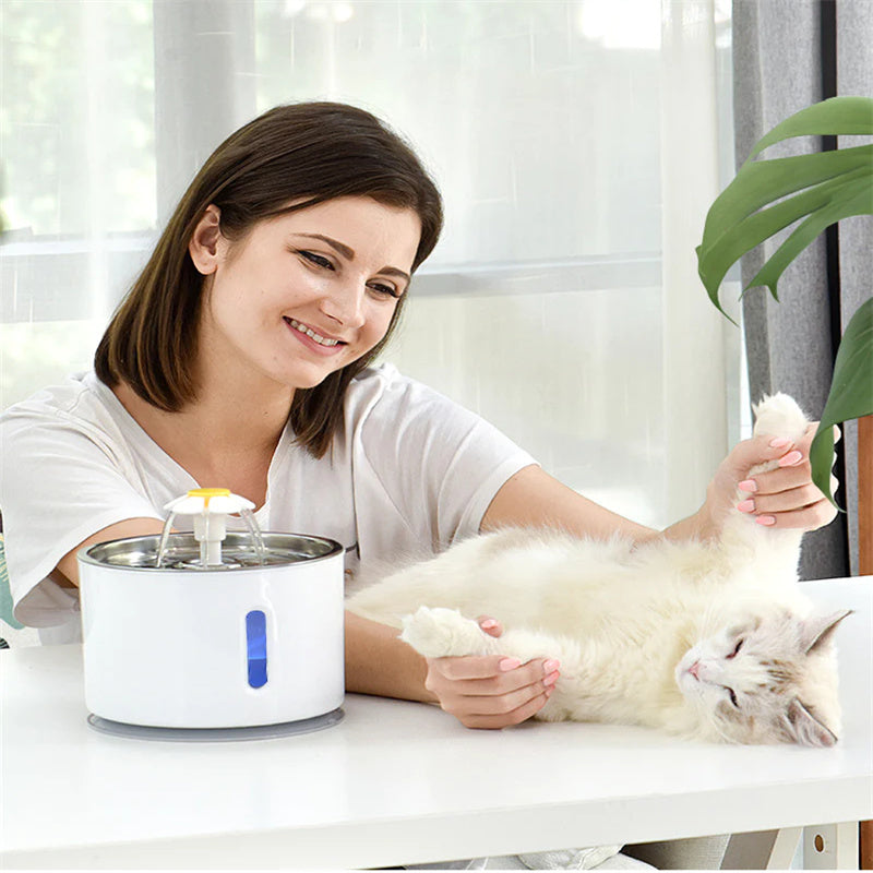 BowLift | Deluxe Cat Water Fountain