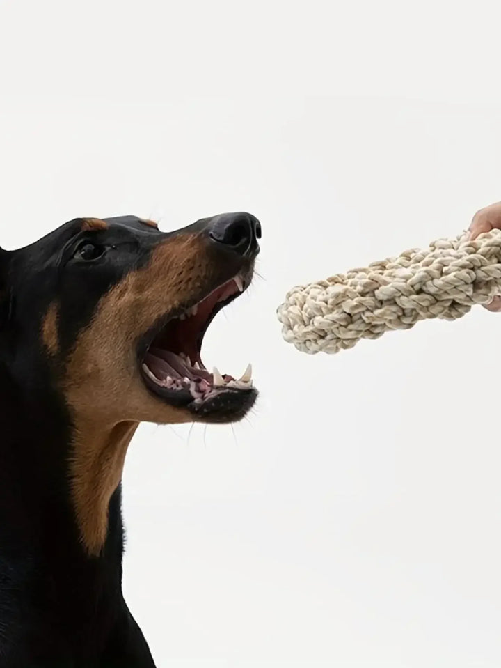 Robust cotton chew ring for dogs Bowlift
