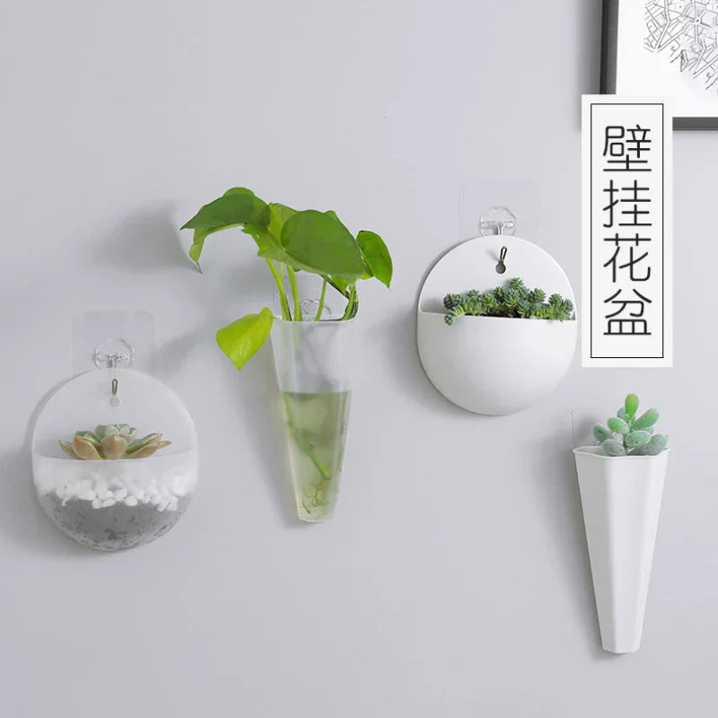 BowLift | FloataWall Planter | Floating Design | Self-adhesive for Modern Wall Decoration