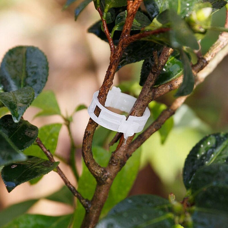Green Garden Safe Plant Support Clips | Bowlift