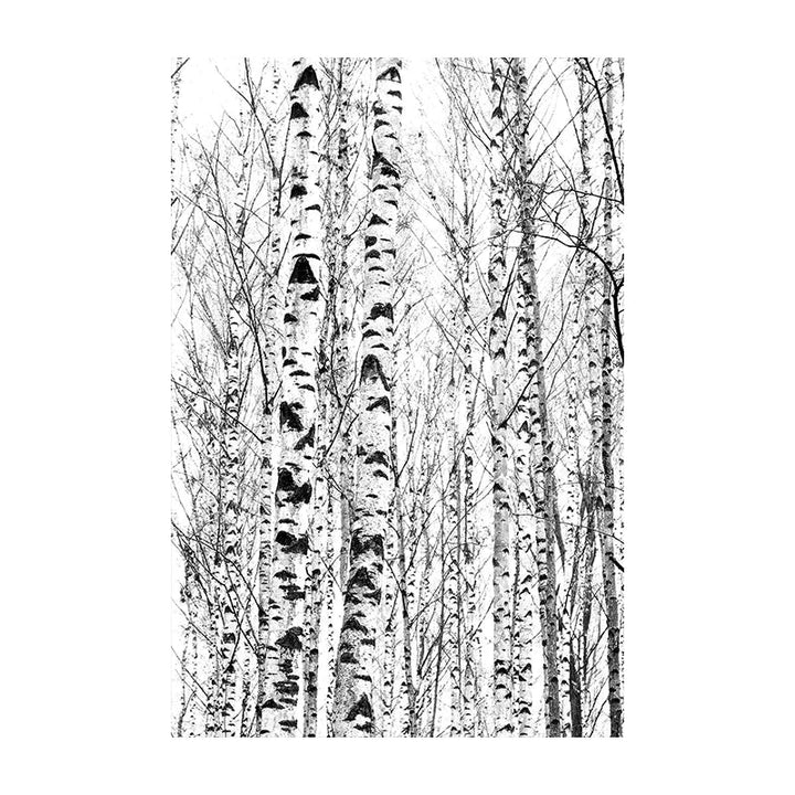 Northern Wilderness Eagle Deer Landscape Wall Art Fine Art Canvas Prints Pictures For Living Room Dining Room Nordic Home Decor | Bowlift