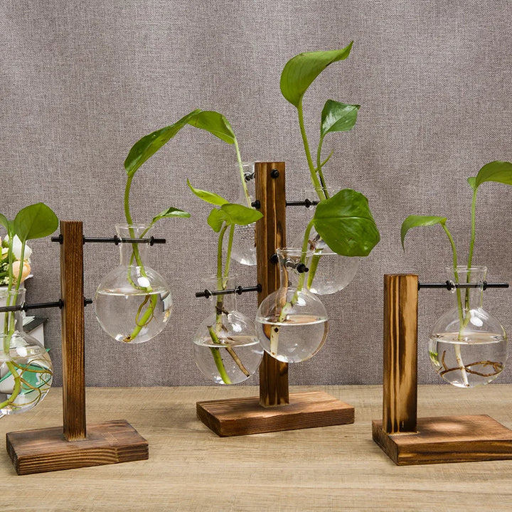 BowLift | Vasoya Glass Vases | 3-Piece Set with Wooden Frame | Scandinavian & Versatile | For Flowers & Hydroponics