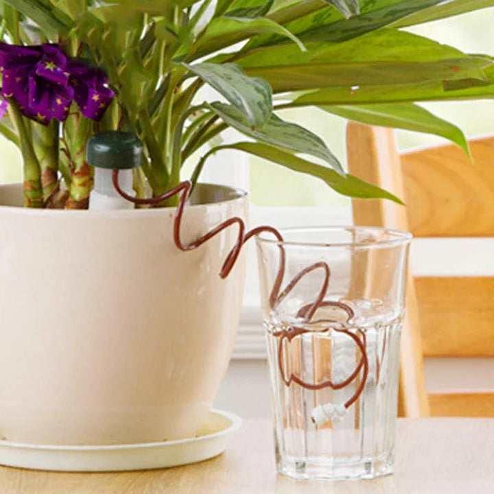BowLift | AquaTerris Plant Irrigation System | 8-Piece Set | Self-Watering Ceramic Spikes | Automatic & For Indoor Use