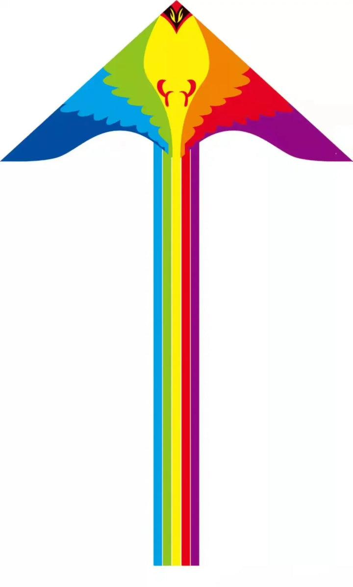 BowLift | Colorful Long Tail Outdoor Rainbow Kite