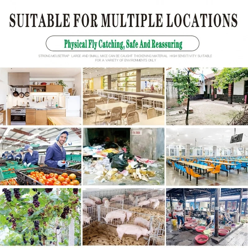 BowLift | Fly trap EcoFlyTrap 7 | 7 catch openings | Reusable & Non-toxic | Without electricity