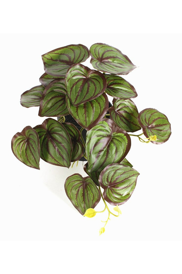 green grapevine wall decoration | Bowlift