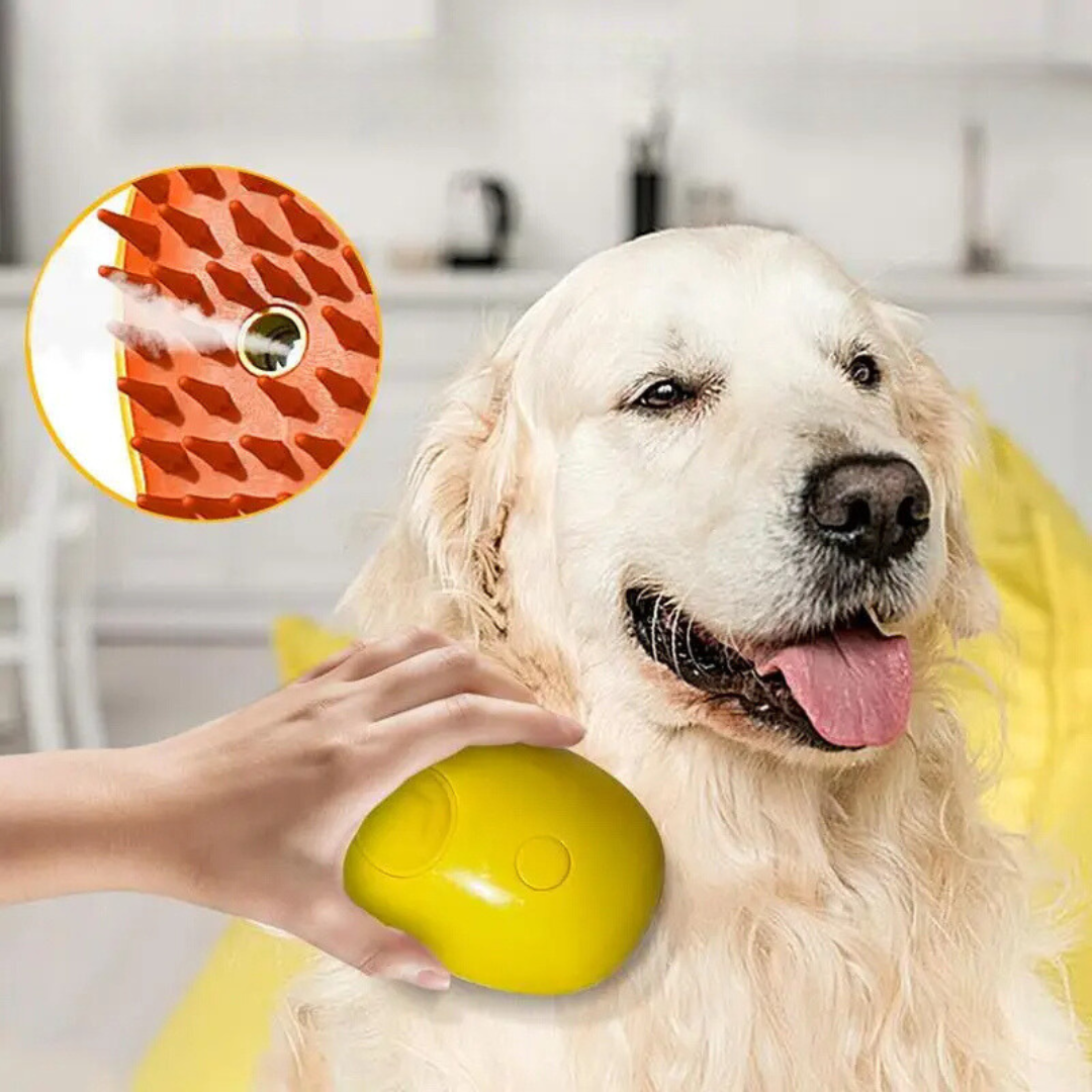Steam Brush For Pets Bowlift