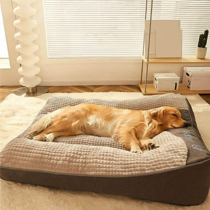 BowLift | Large scratch-resistant dog bed with orthopedic spinal support