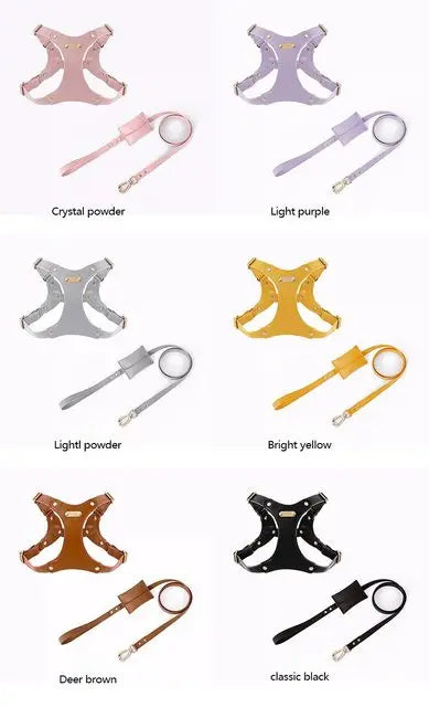 Adjustable Leather Dog Harness with Custom Engraving Bowlift