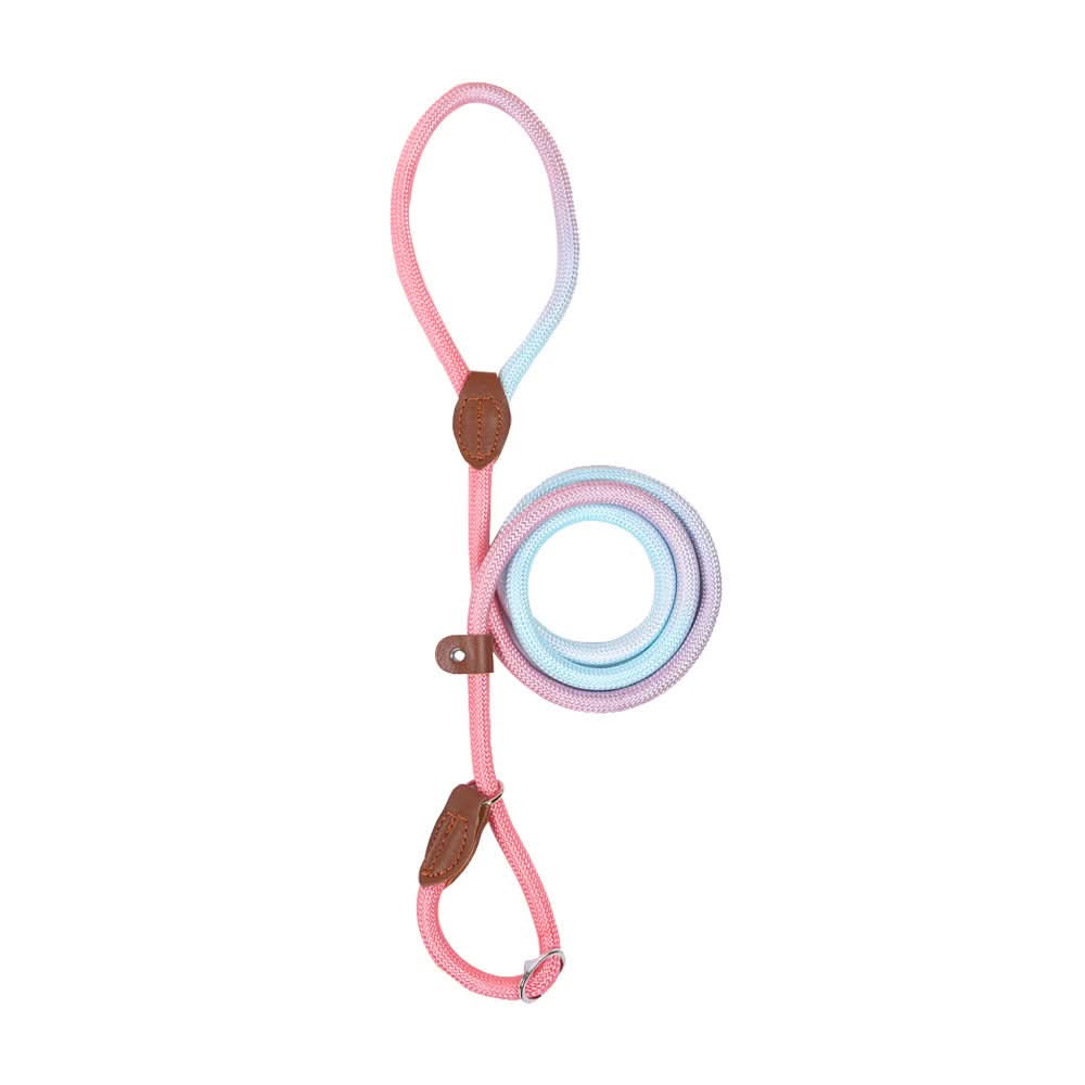 BowLift | Colorful Dog Leash for Stylish Walks