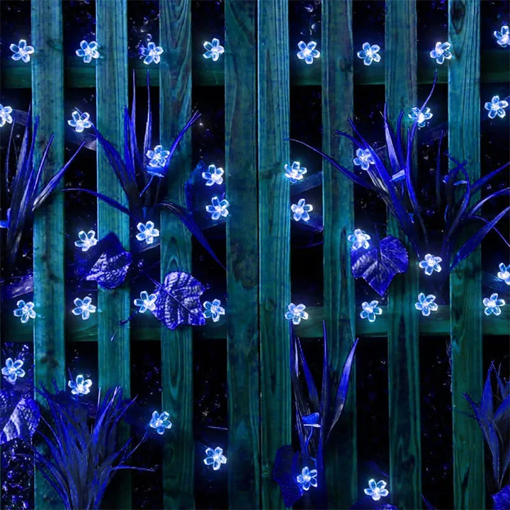 BowLift | LumiSola Solar String Lights | 20–100 LEDs | Warm White, White or RGB | 8 Modes | For Garden & Balcony | 5–12m