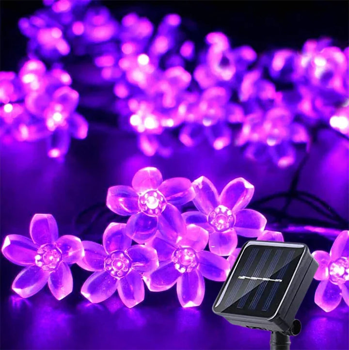 BowLift | LumiSola Solar String Lights | 20–100 LEDs | Warm White, White or RGB | 8 Modes | For Garden & Balcony | 5–12m