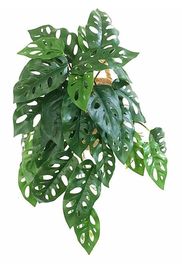 green grapevine wall decoration | Bowlift