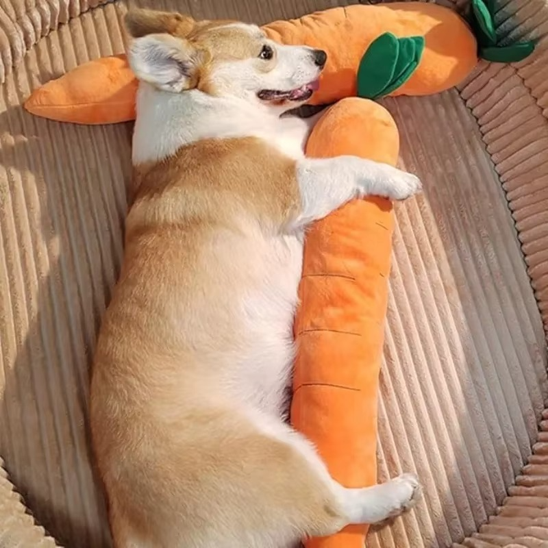 BowLift | Extra Large 29.5" Plush Carrot Sound Toy for Dogs