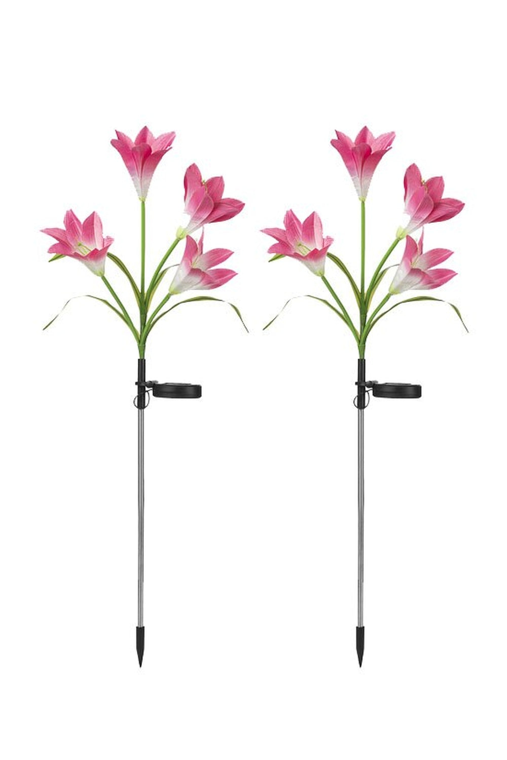 Solar-Violet Lawn Lights | Bowlift