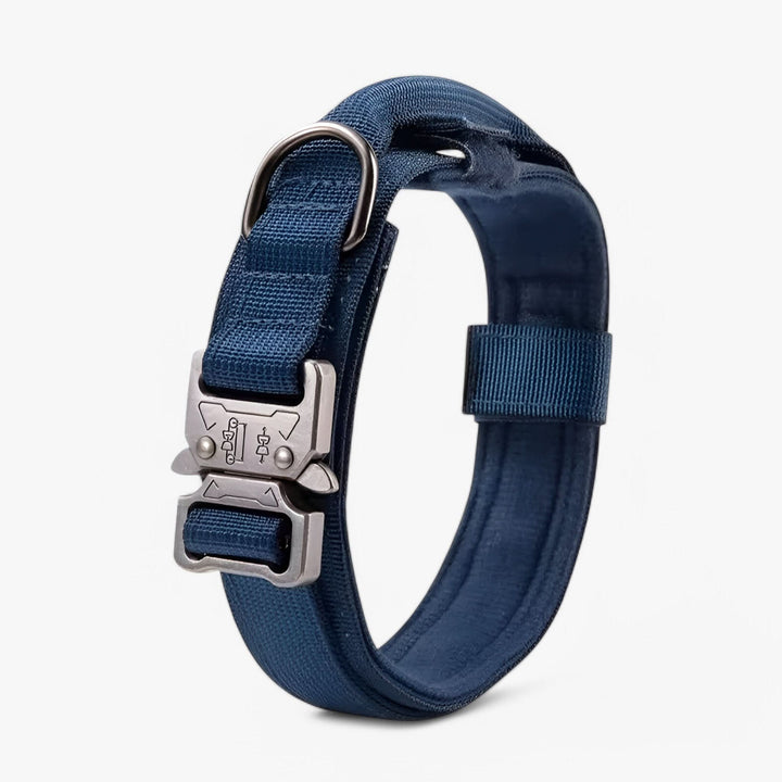 BowLift | OutdoorHeld Dog Collar – For active dogs with endurance