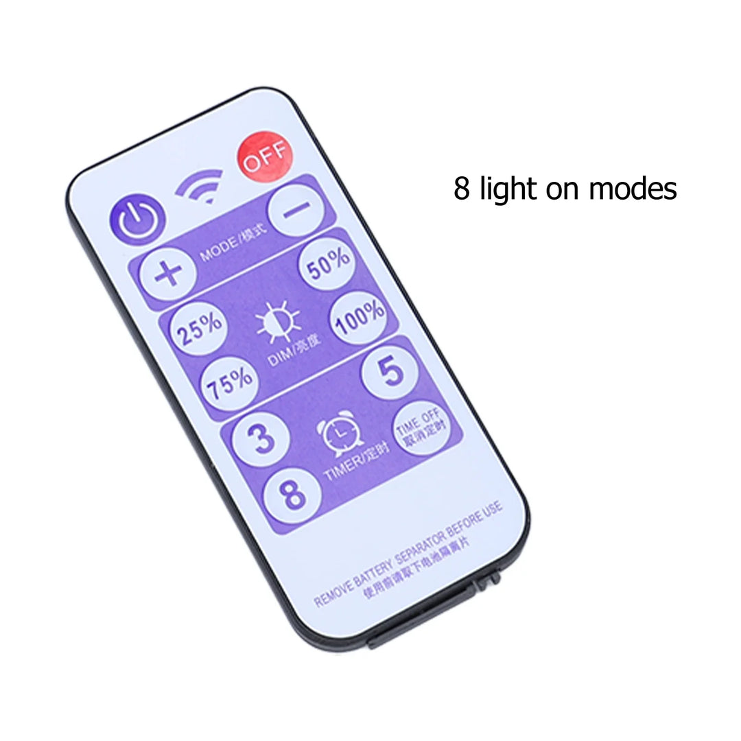 BowLift | SolviaLux Solar Control Box for Fairy Lights | With Remote Control & 8 Modes | Dimmable & Waterproof IP65