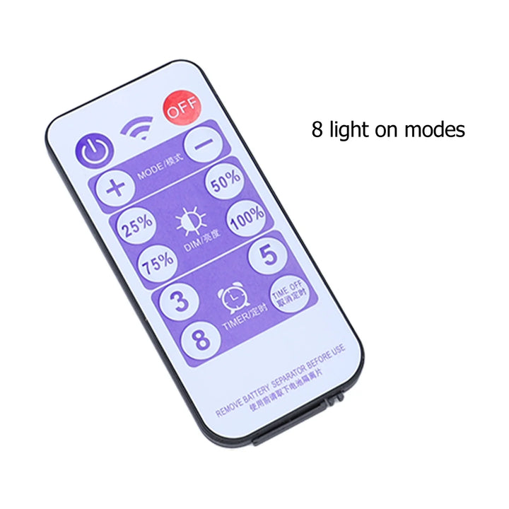 BowLift | SolviaLux Solar Control Box for Fairy Lights | With Remote Control & 8 Modes | Dimmable & Waterproof IP65