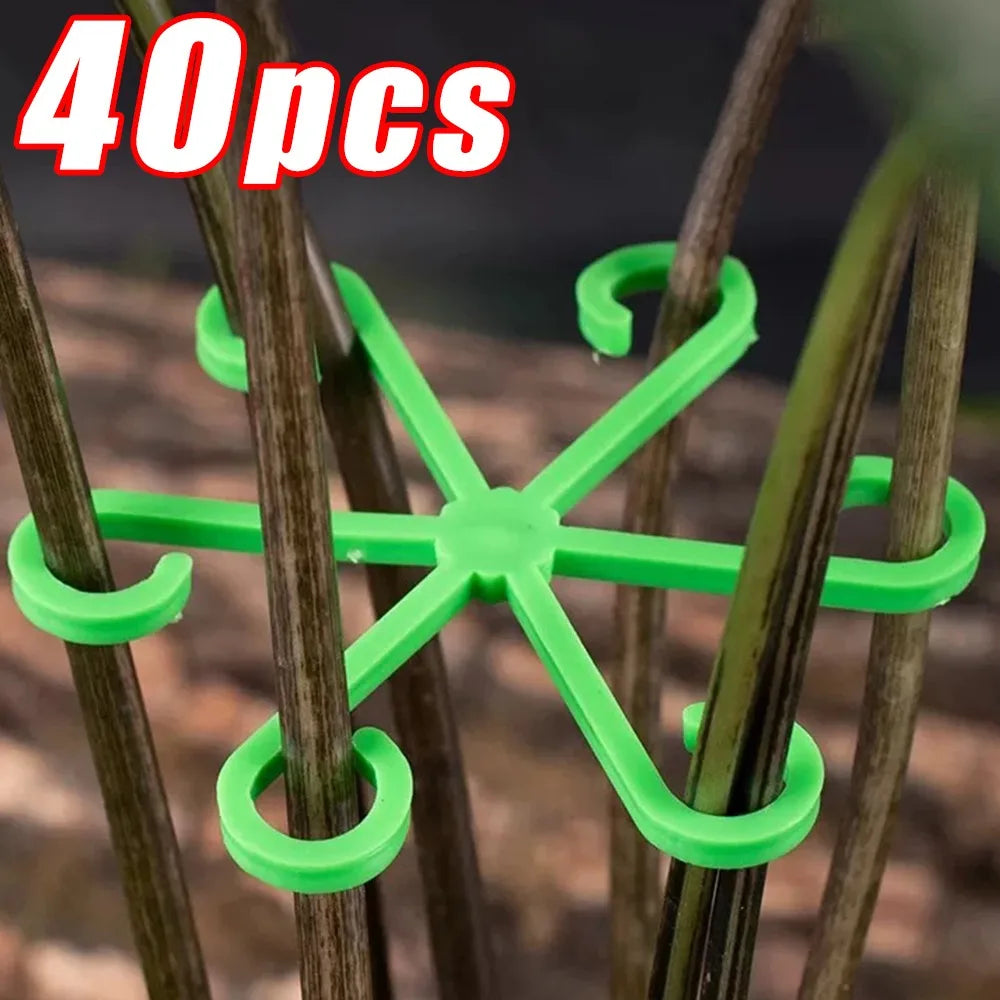 BowLift | Plant Stem Support Frame