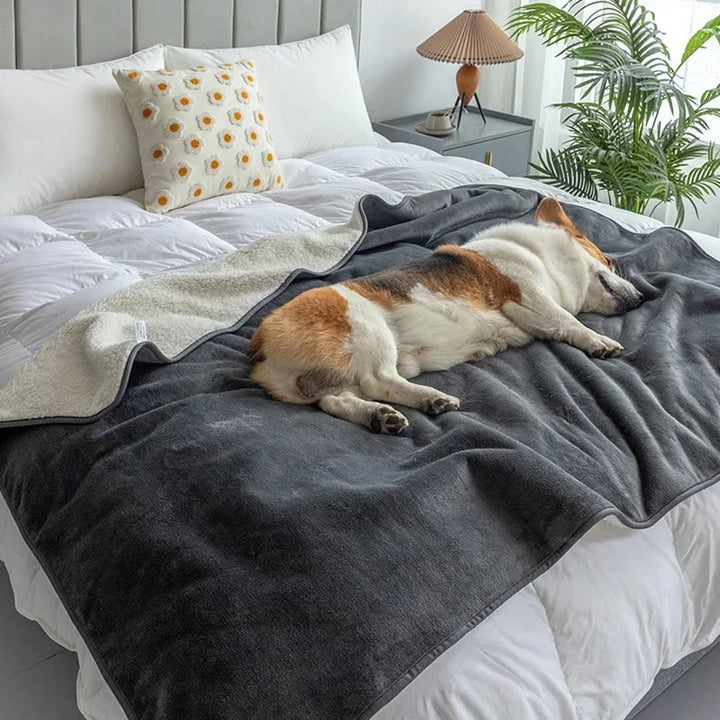 BowLift | Waterproof Pet Blanket PawProof | For Dogs & Cats | Cozy & Durable