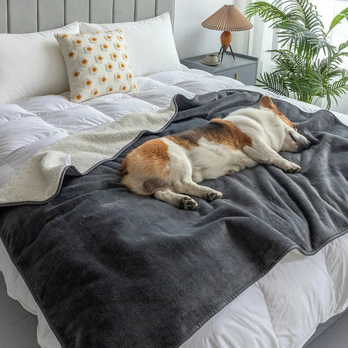 BowLift | Waterproof Pet Blanket PawProof | For Dogs & Cats | Cozy & Durable