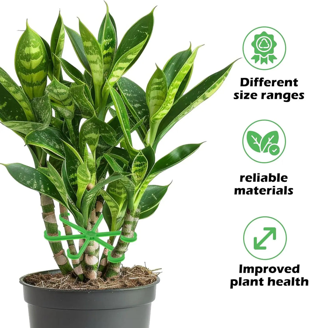 BowLift | Plant Stem Support Frame