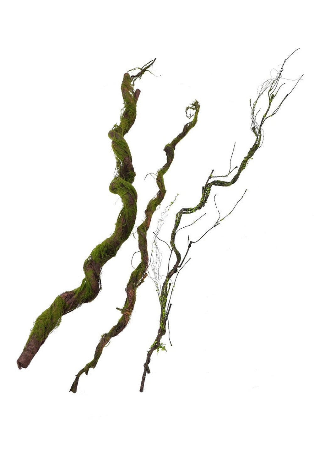 Tree branch grapes decor | Bowlift
