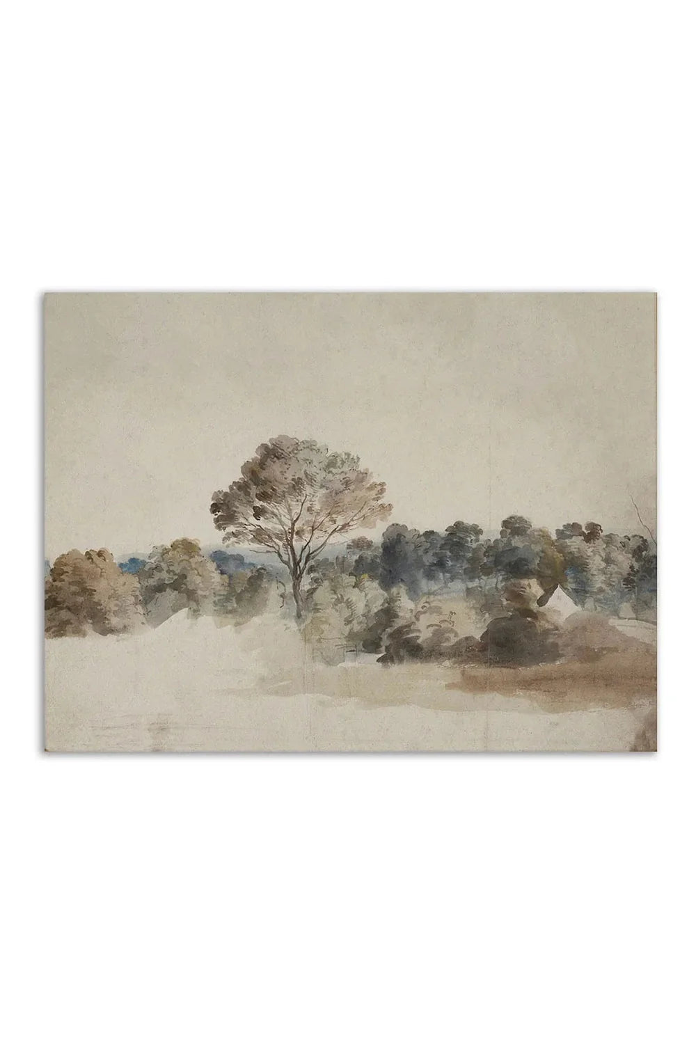 Canvas art | Bowlift