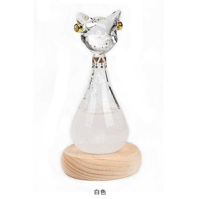 Cat-Inspired Weather Forecast Bottle | Bowlift