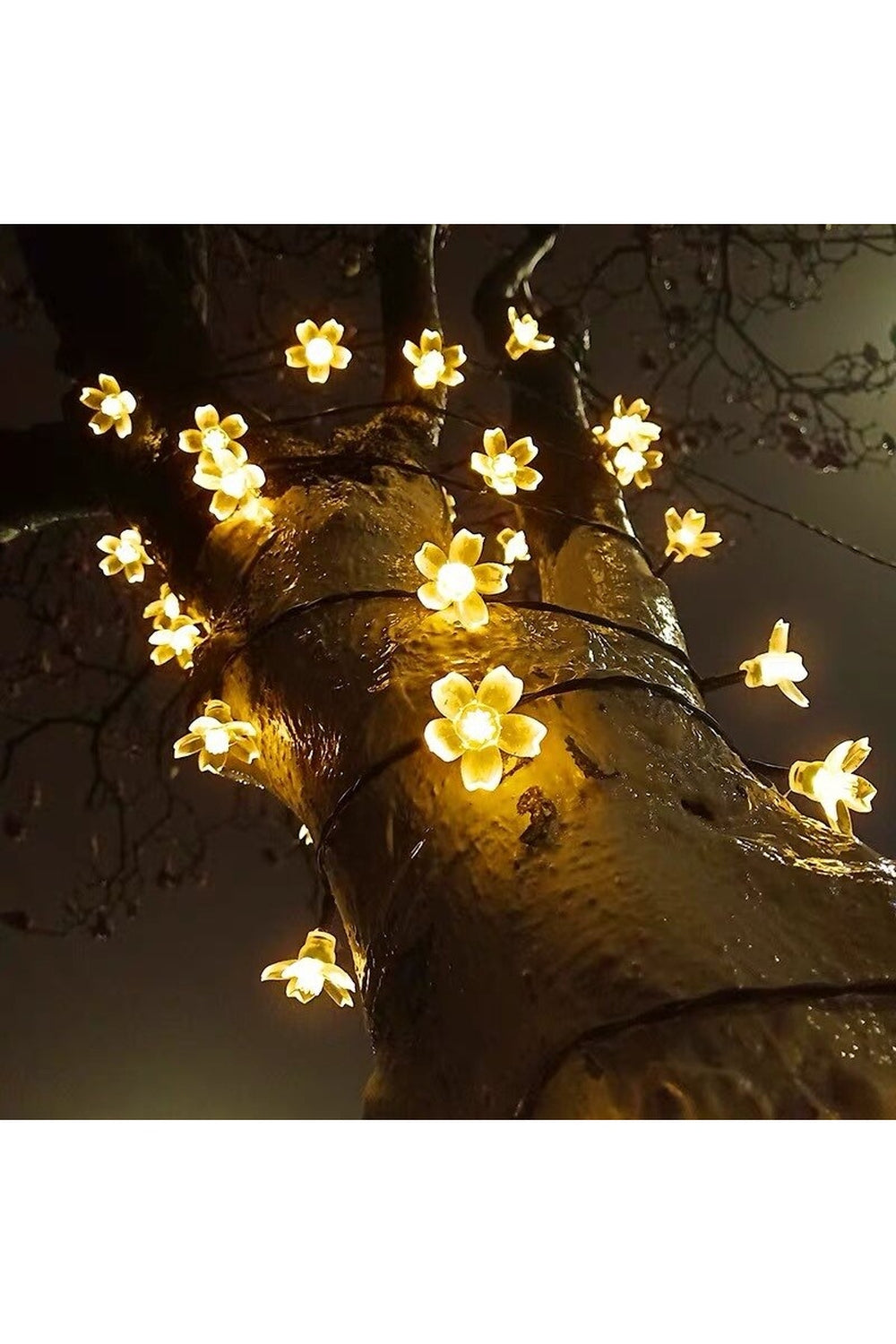 Solar Blossom String Lights | Bowlift