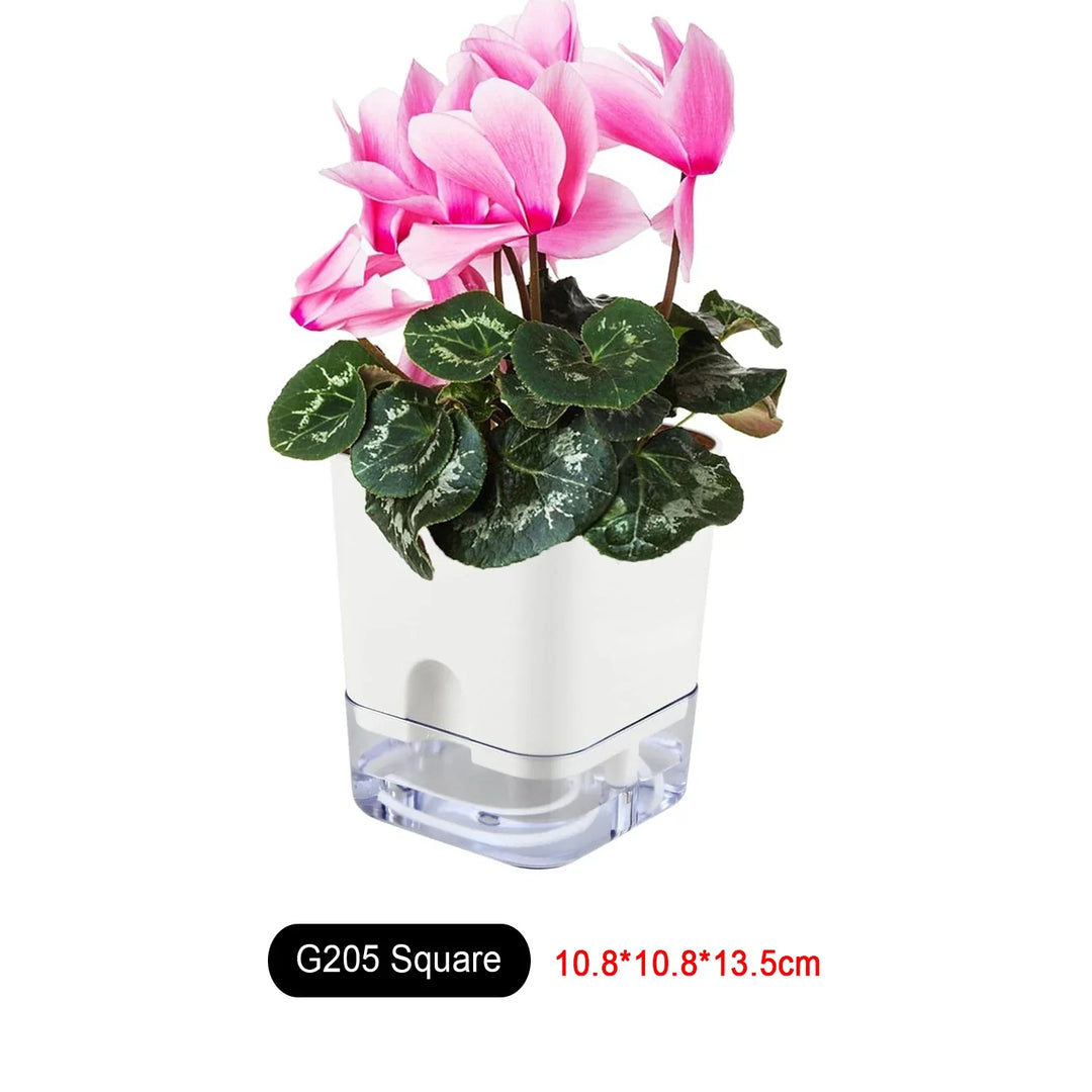BowLift | Plant Pot BloomEase | Self-Watering & Space-Saving | With Water Level Indicator | For Indoor Plants & Herbs