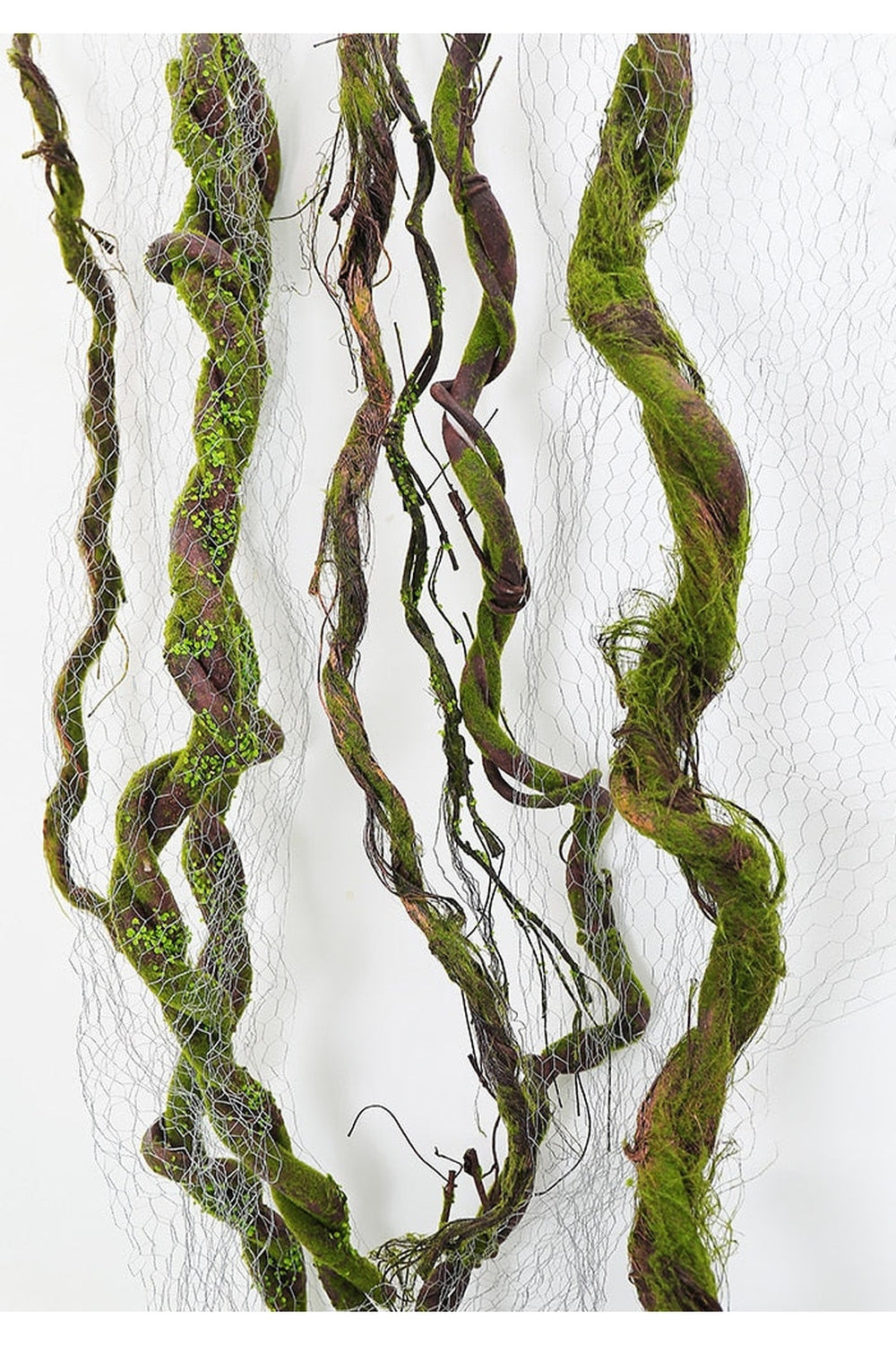 Tree branch grapes decor | Bowlift