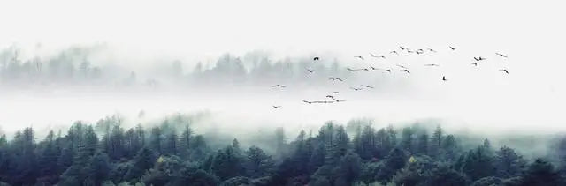 Mountain Lake Forest Wilderness Wall Art Large Format Canvas Prints Wide Format Landscape Picture For Above The Sofa Or Above The Bed | Bowlift