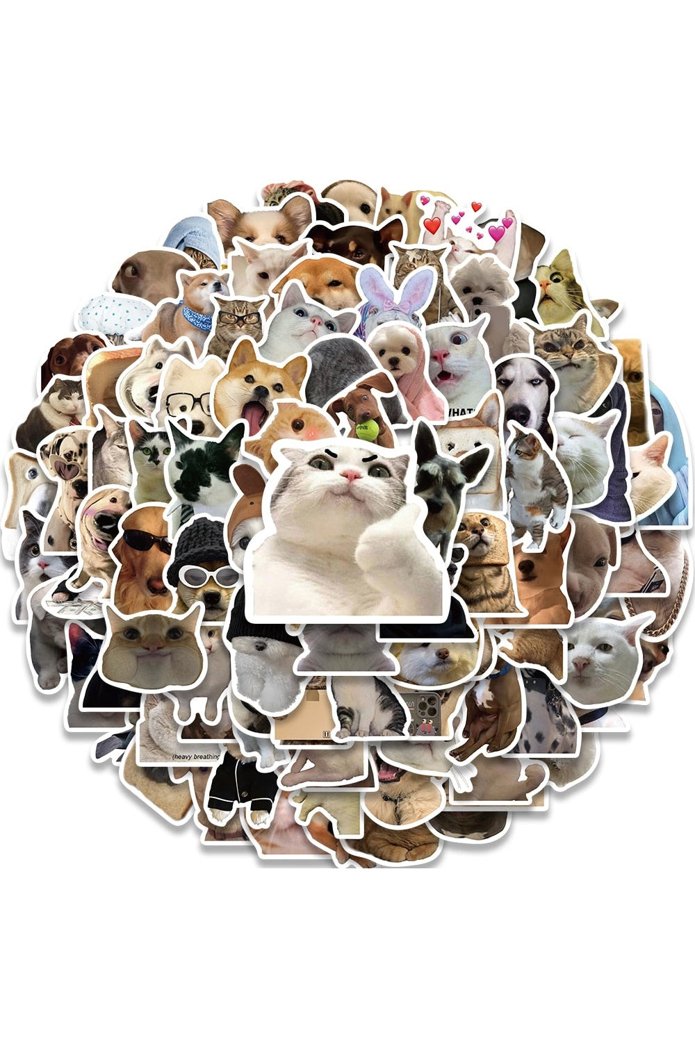 Cat Meme Funny Stickers 10/30/50/100 Pieces | Bowlift
