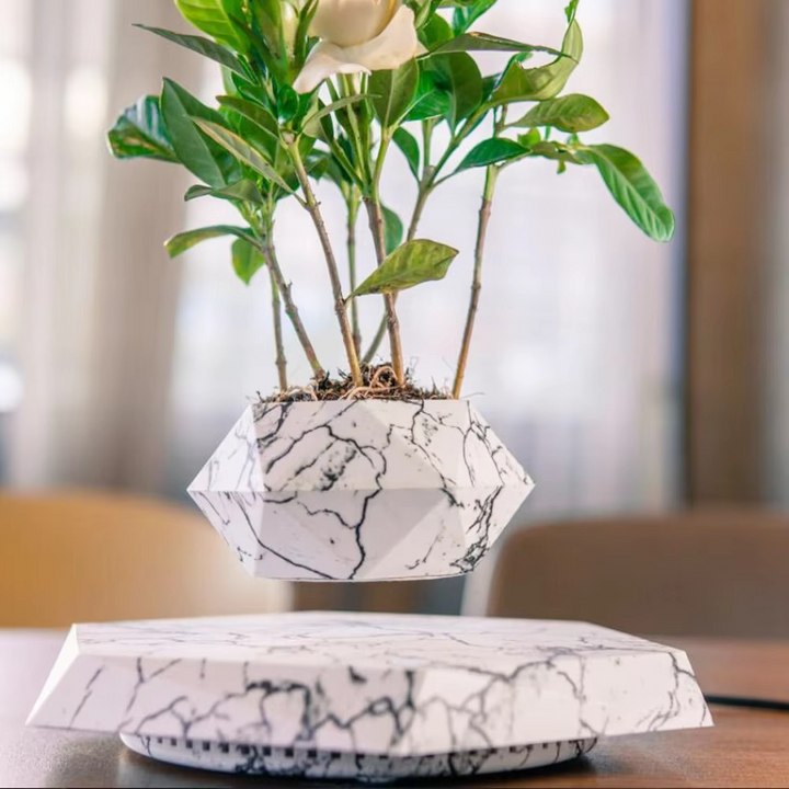 BowLift | Levitating Plant Pot – Magnetic Floating Planter