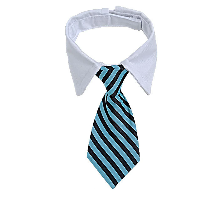 Sugar & Cotton's Famous Pet Neckties | Bowlift