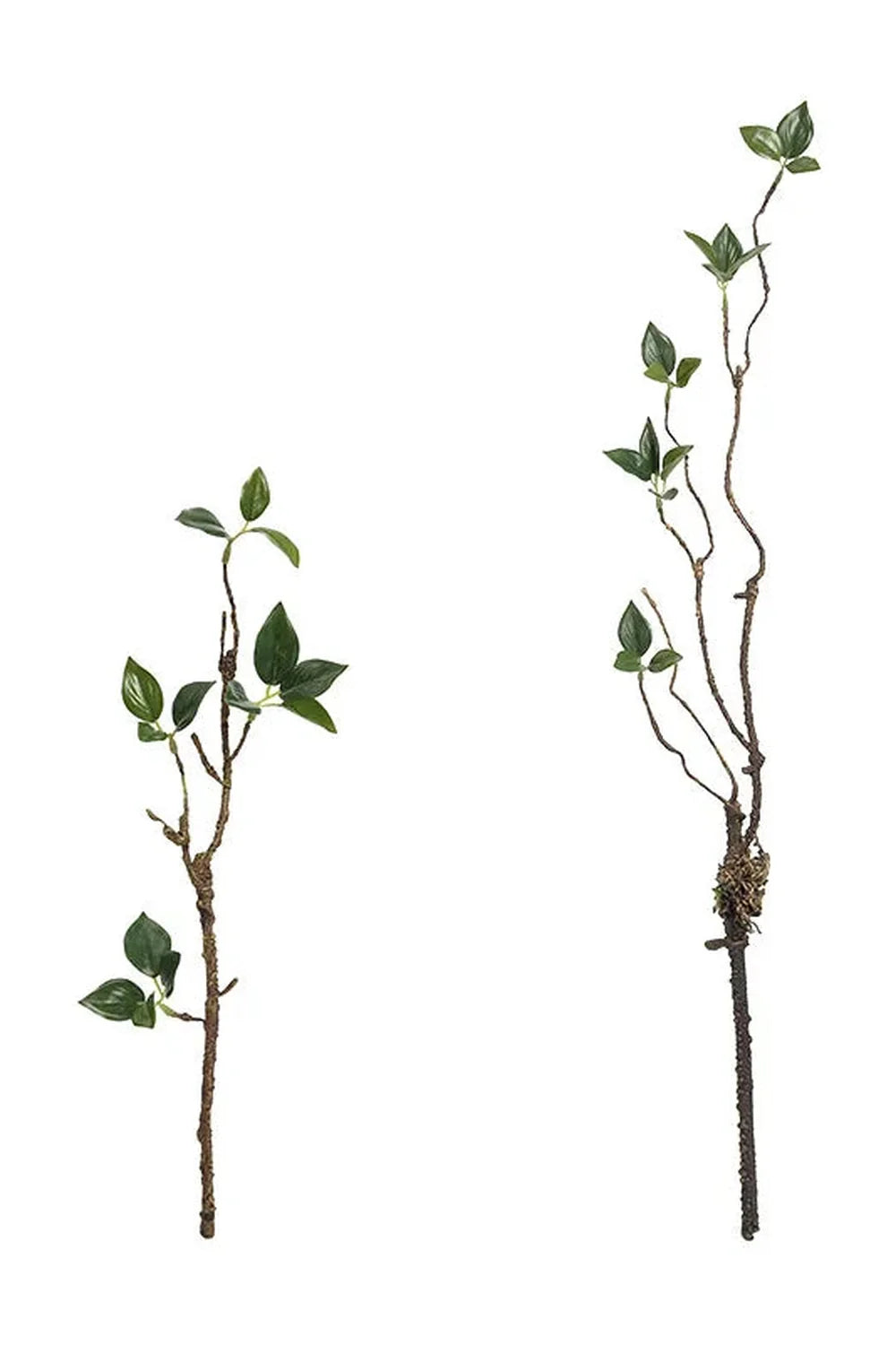 Branches Artificial Plants | Bowlift