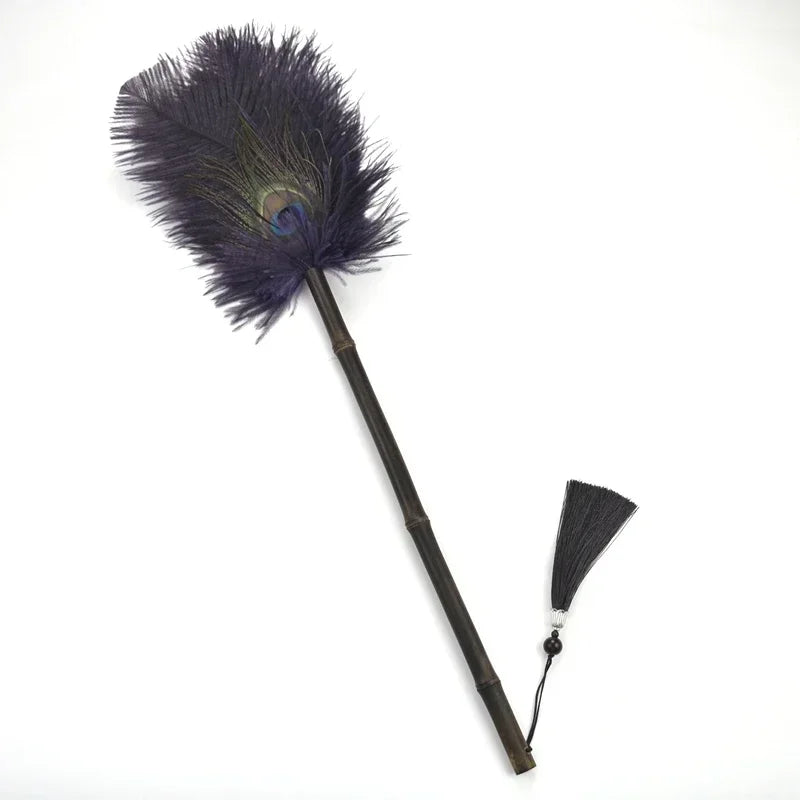 Peacock Feather Anti-Static Dusting Brush | Bowlift