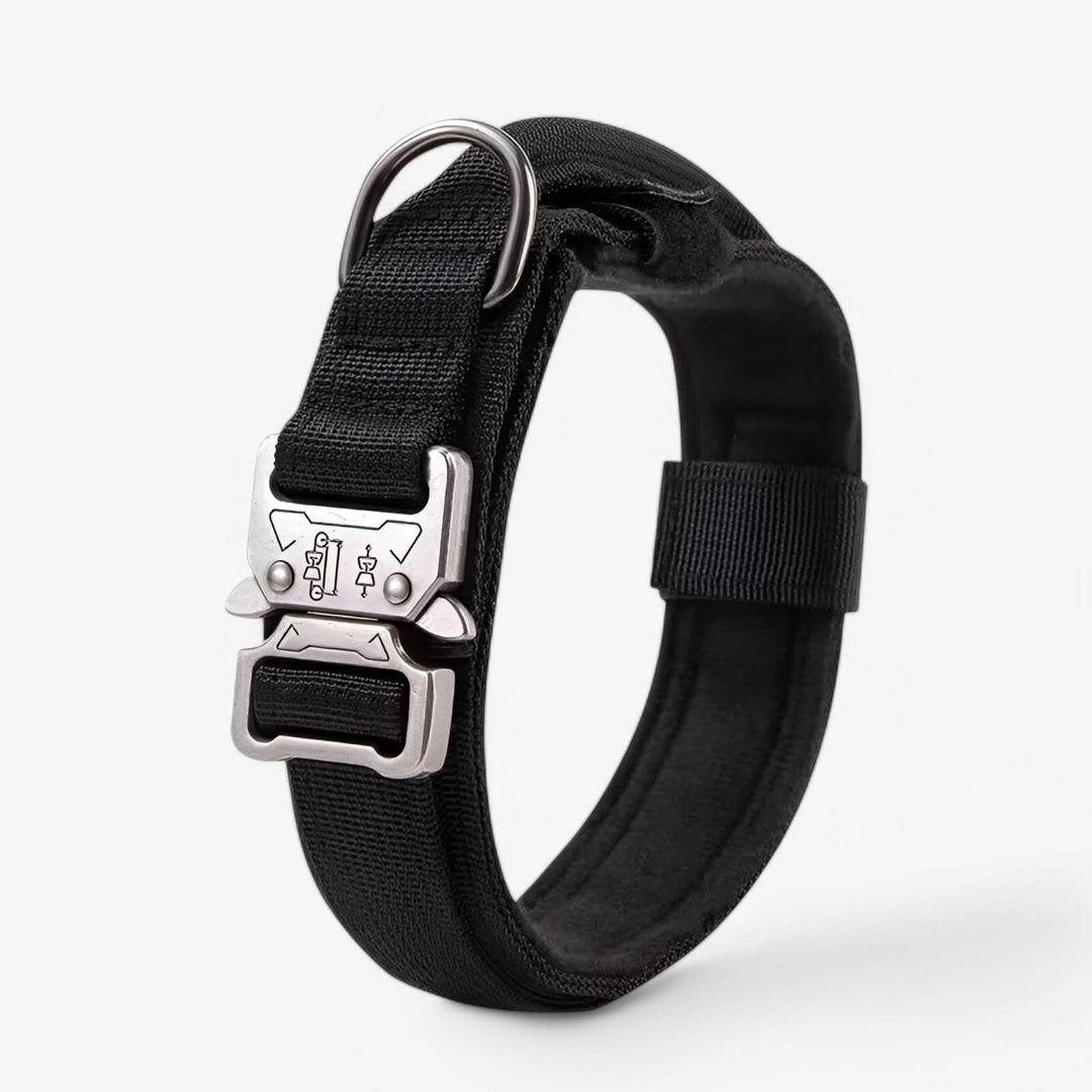 BowLift | OutdoorHeld Dog Collar – For active dogs with endurance