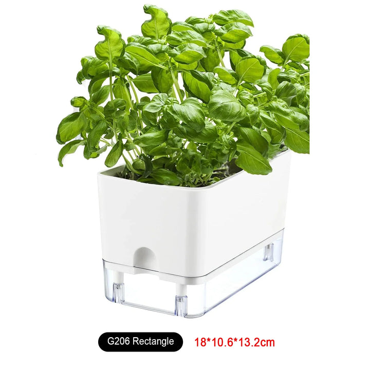 BowLift | Plant Pot BloomEase | Self-Watering & Space-Saving | With Water Level Indicator | For Indoor Plants & Herbs