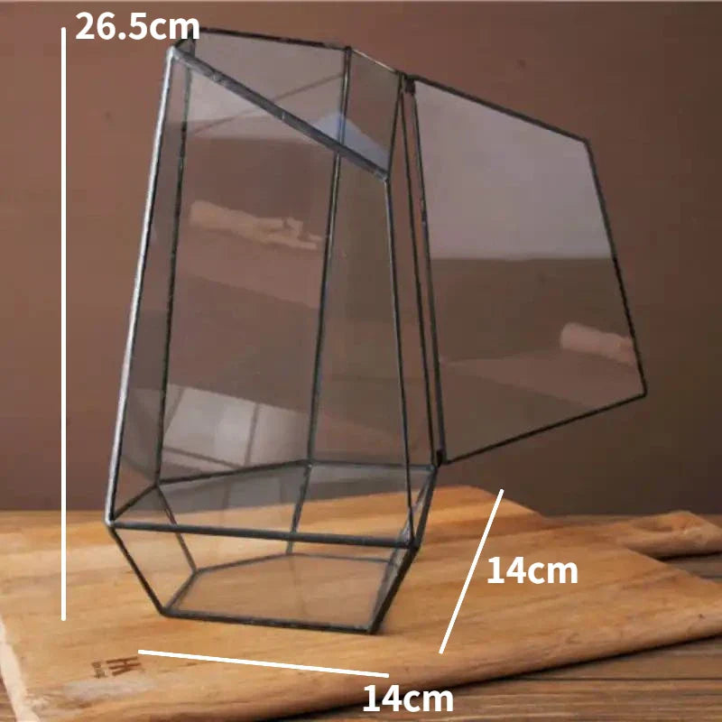 Modern Geometric Nature-Inspired Botanical Terrarium | Bowlift