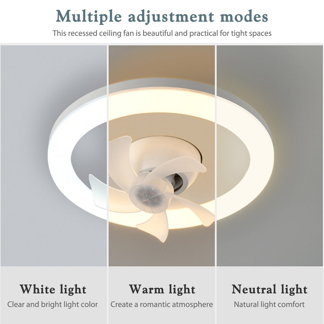 Ceiling Fan Light | Bowlift