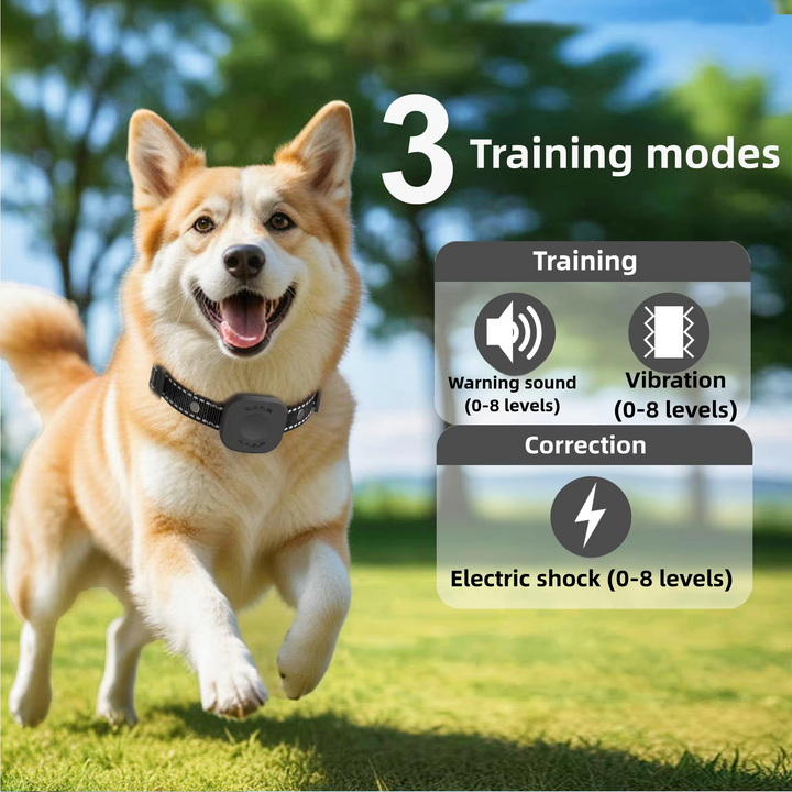 BowLift | Ultimate Safety 1,574.8 feet Wireless Dog Fence System with Rechargeable, Waterproof Collar