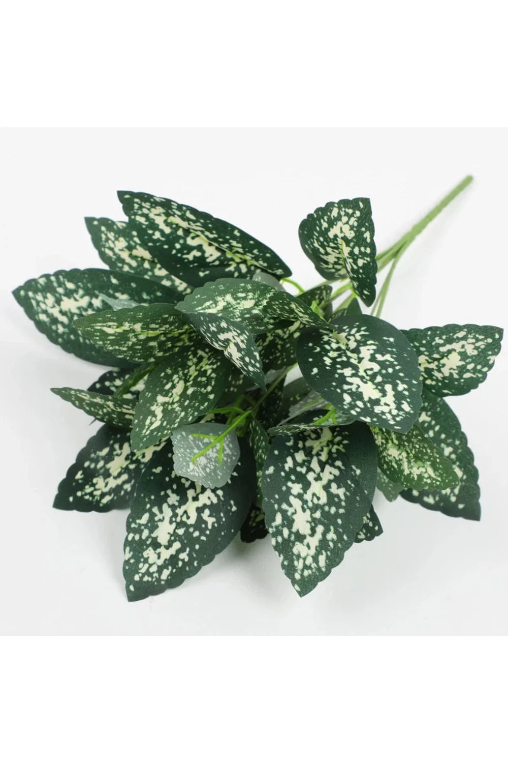 Tortoiseshell Artificial Plants | Bowlift