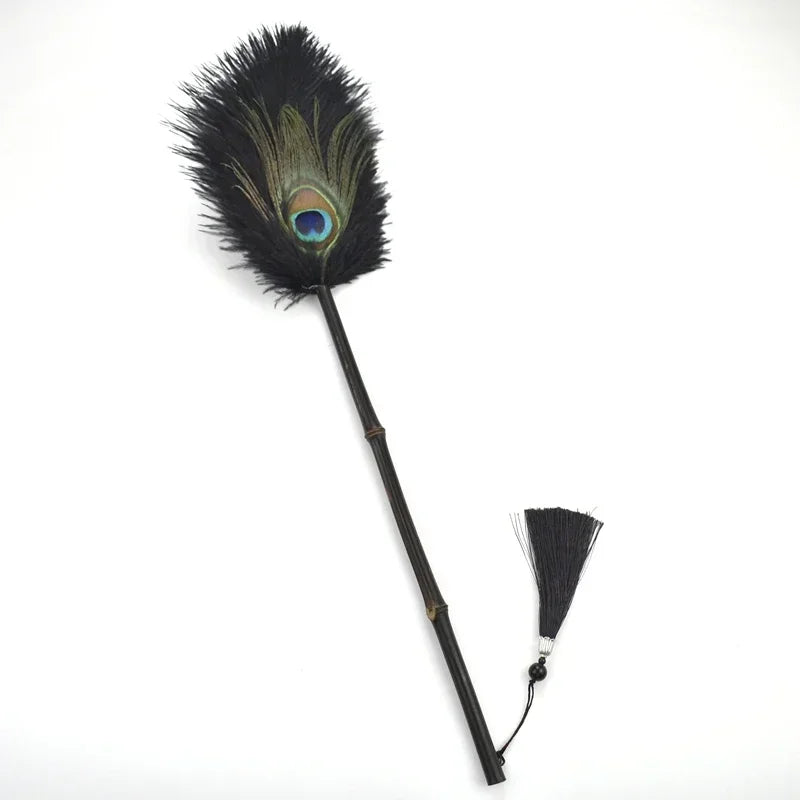 Peacock Feather Anti-Static Dusting Brush | Bowlift