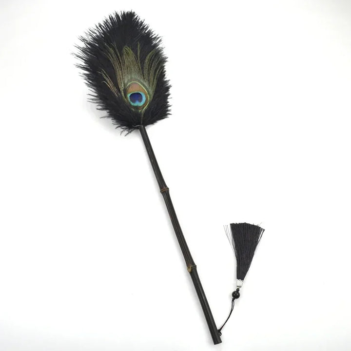 Peacock Feather Anti-Static Dusting Brush | Bowlift
