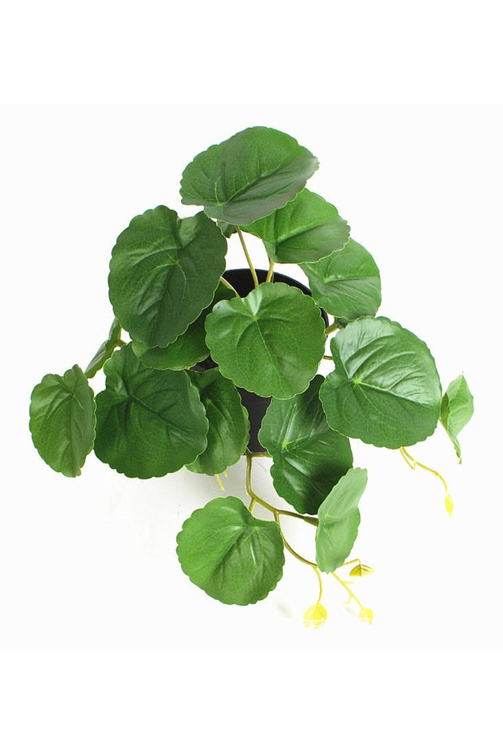 green grapevine wall decoration | Bowlift